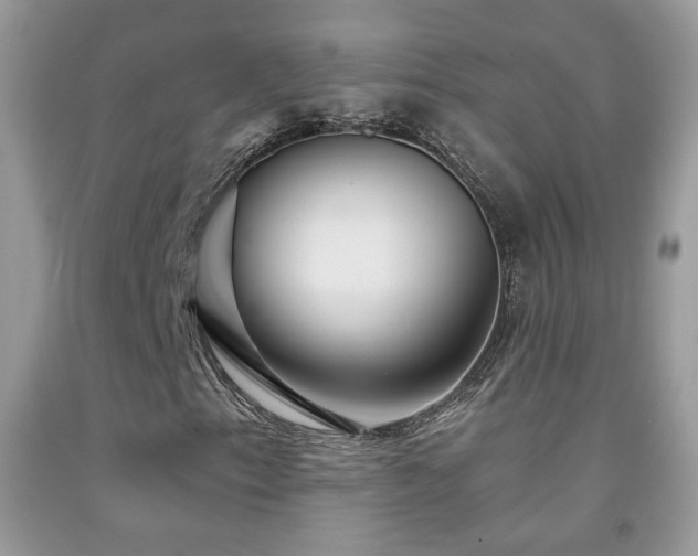 X0000092011153200709061526