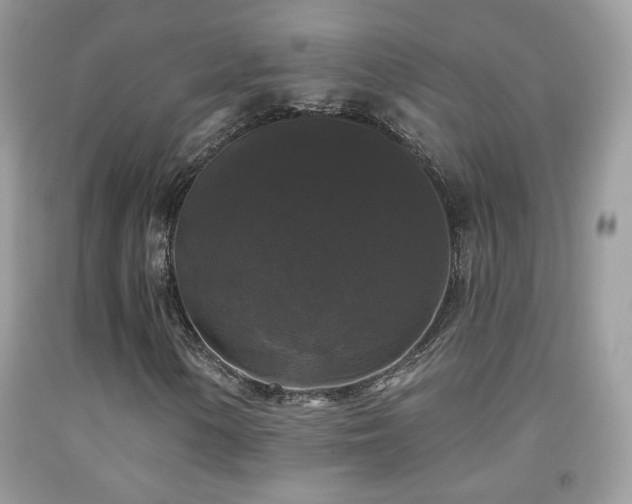X0000092011154200709061526