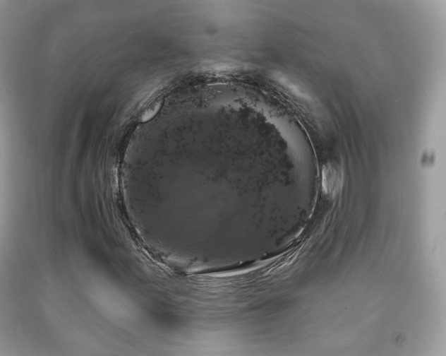 X0000092011155200709061526