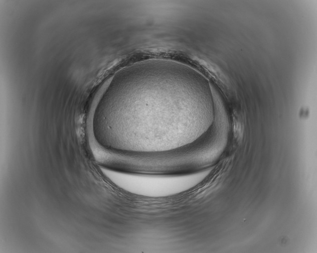 X0000092011156200709061526