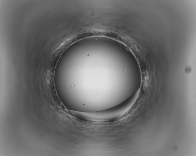 X0000092011157200709061526