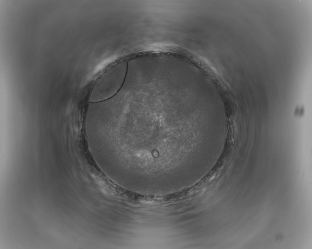 X0000092011158200709061526