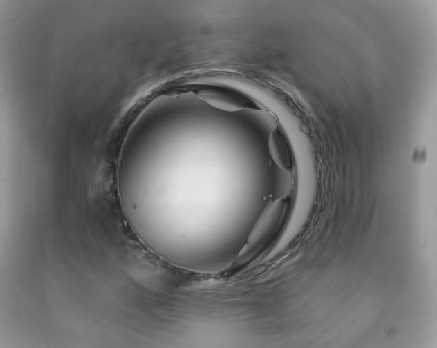 X0000092011160200709061526