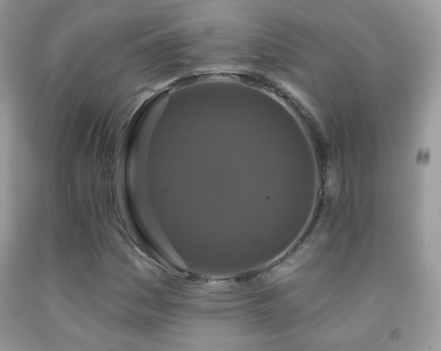 X0000092011161200709061526