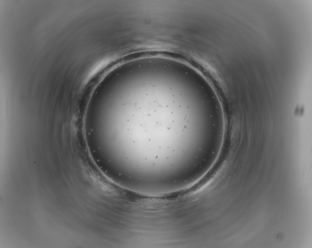 X0000092011163200709061526