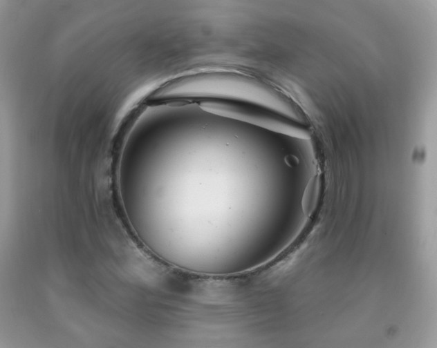 X0000092011164200709061526