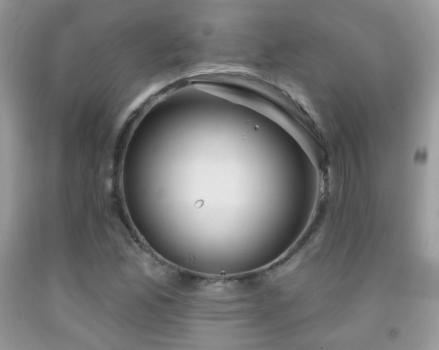 X0000092011165200709061526