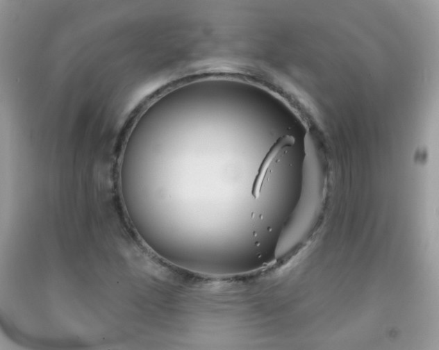 X0000092011166200709061526