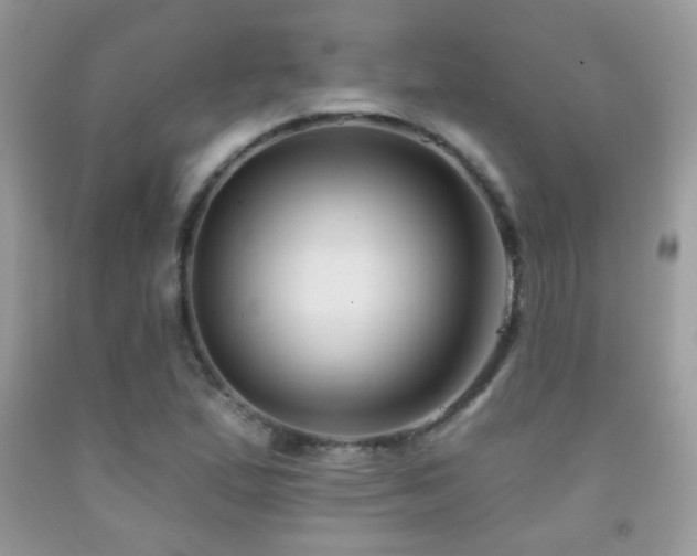 X0000092011167200709061526