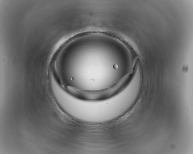 X0000092011168200709061526