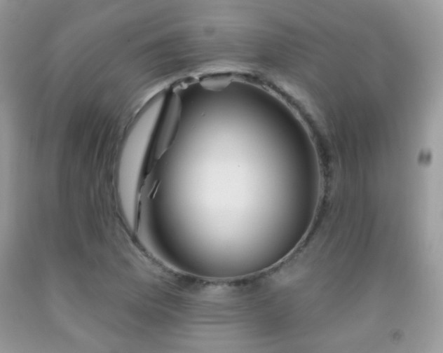 X0000092011169200709061526
