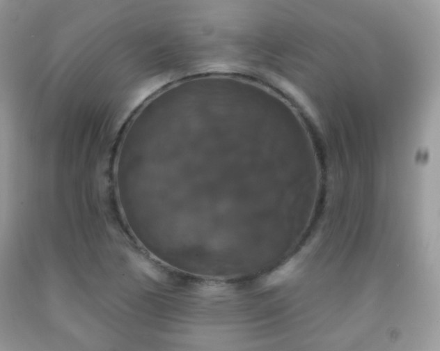 X0000092011170200709061526