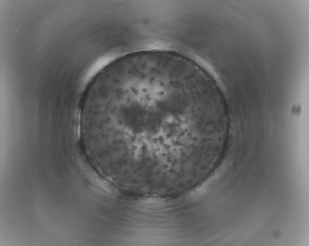 X0000092011171200709061526