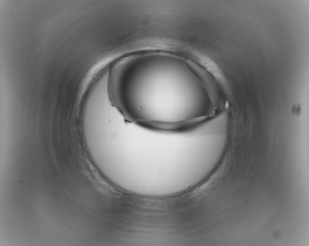 X0000092011172200709061526