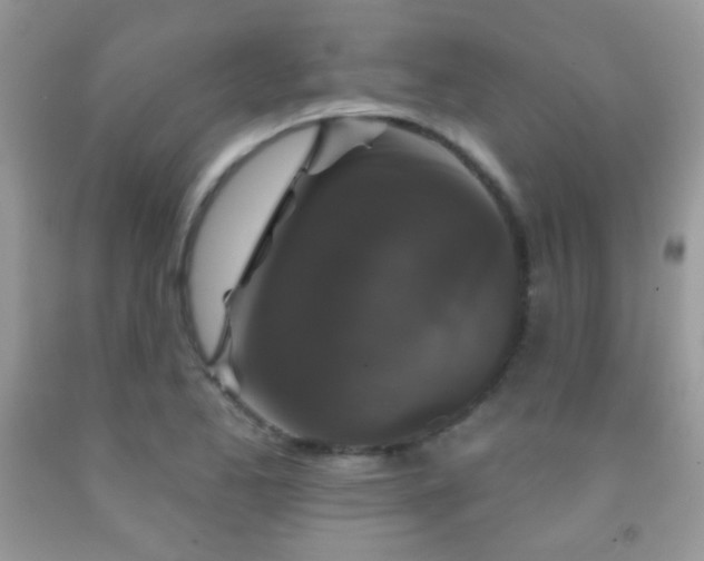 X0000092011173200709061526
