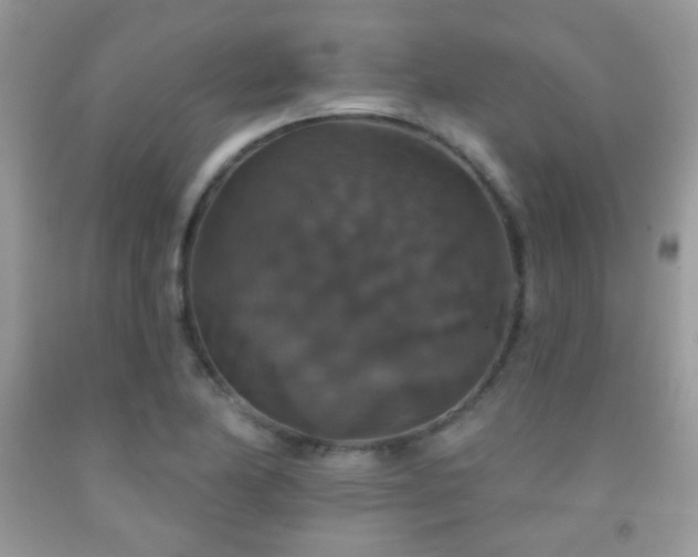 X0000092011174200709061526