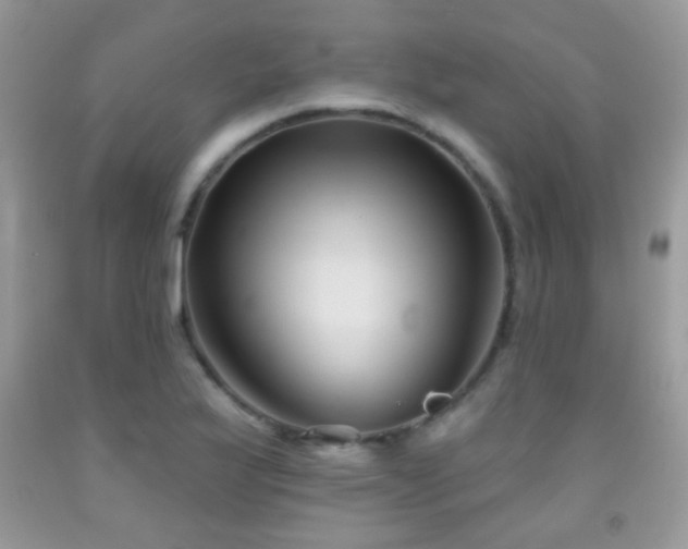 X0000092011175200709061526