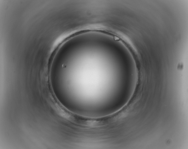 X0000092011176200709061526