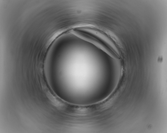 X0000092011177200709061526