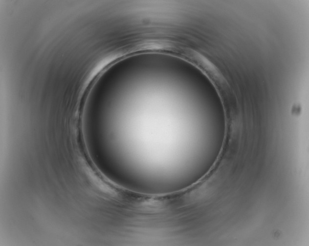 X0000092011178200709061526