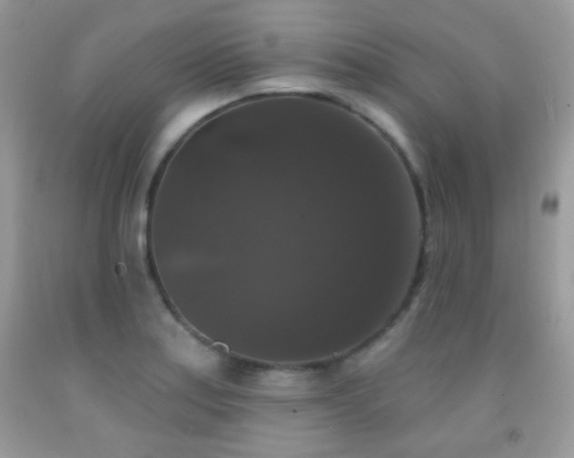 X0000092011179200709061526
