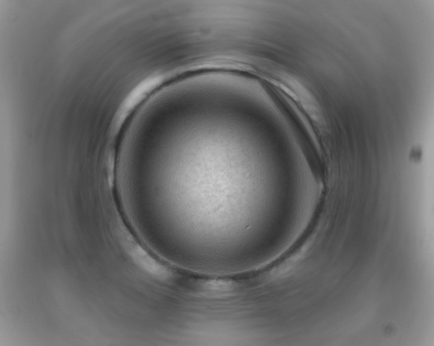 X0000092011180200709061526