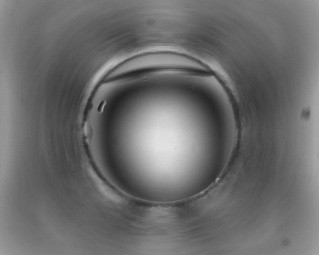 X0000092011181200709061526