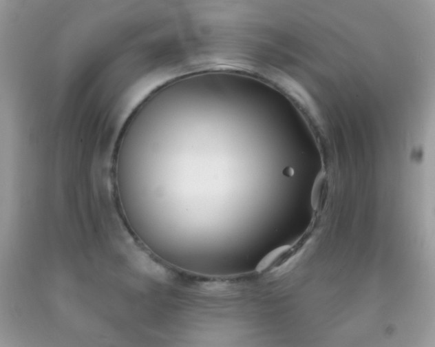 X0000092011182200709061526