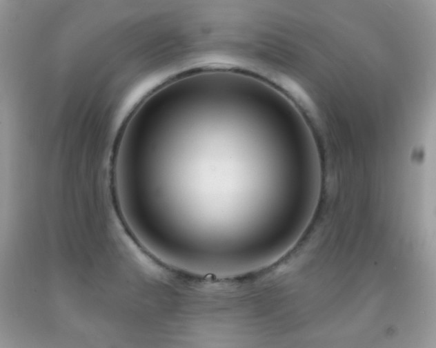 X0000092011183200709061526