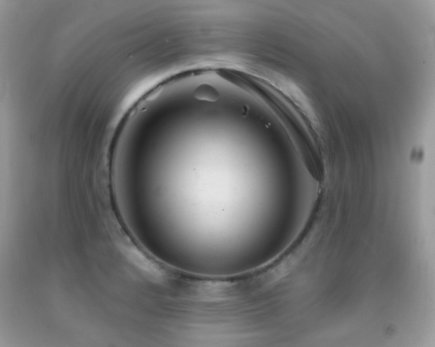 X0000092011184200709061526