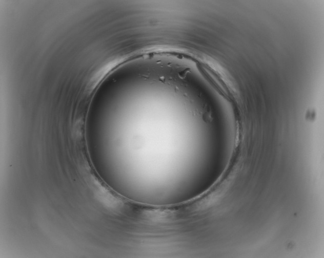 X0000092011185200709061526