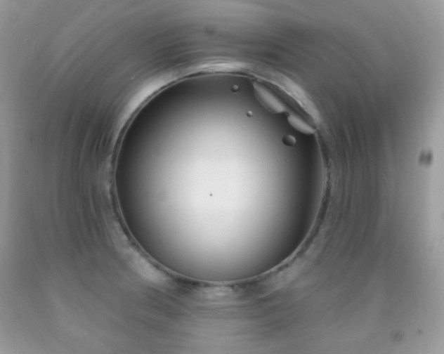 X0000092011186200709061526