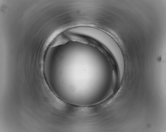 X0000092011188200709061526