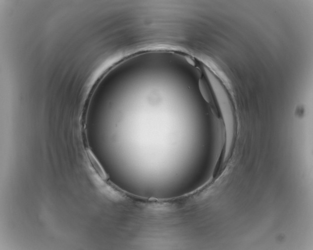 X0000092011189200709061526