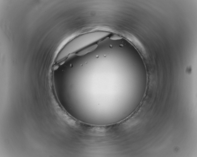 X0000092011190200709061526