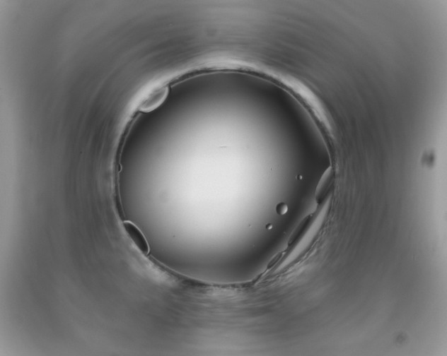X0000092011191200709061526