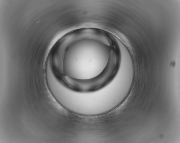 X0000092011192200709061526
