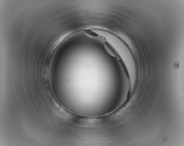 X0000092011193200709061526
