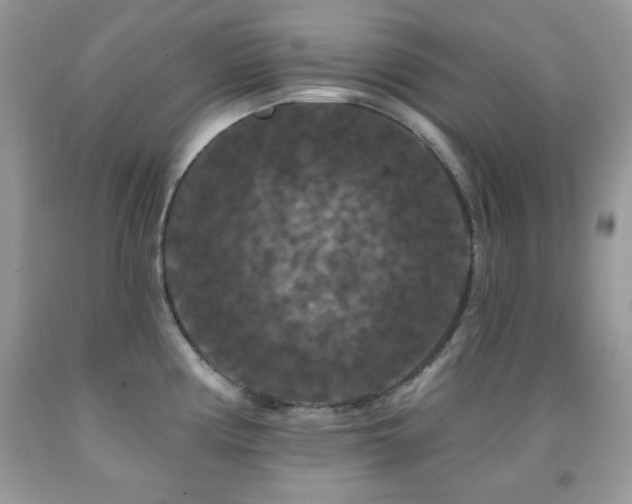 X0000092011194200709061526