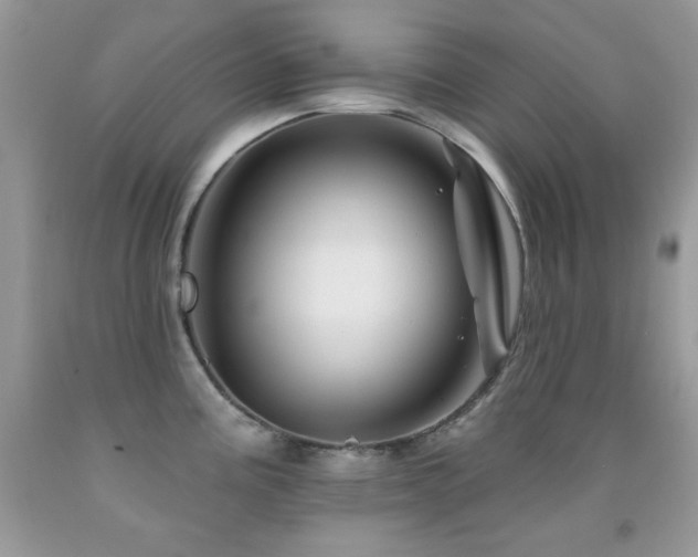 X0000092011195200709061526
