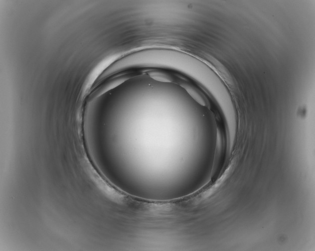X0000092011196200709061526