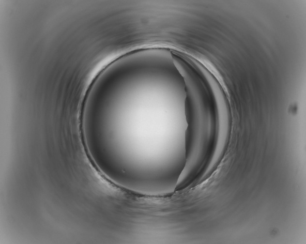 X0000092011197200709061526