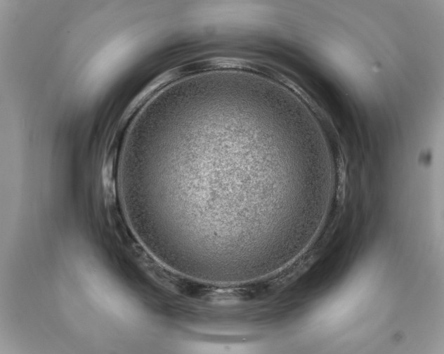 X0000092011198200709061526