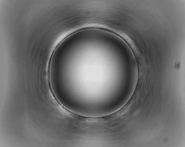 X0000092011199200709061526