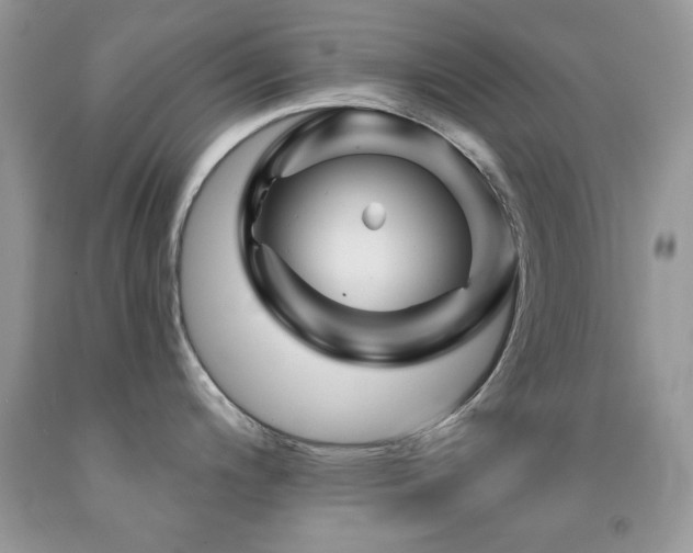 X0000092011200200709061526