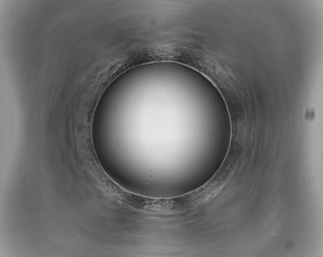 X0000092011201200709061525