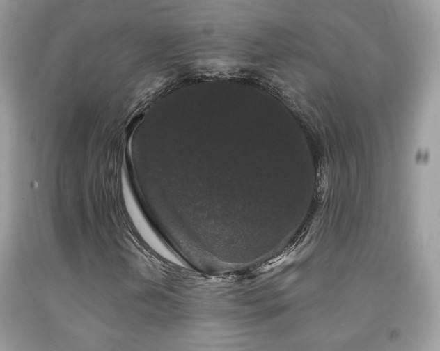 X0000092011202200709061525