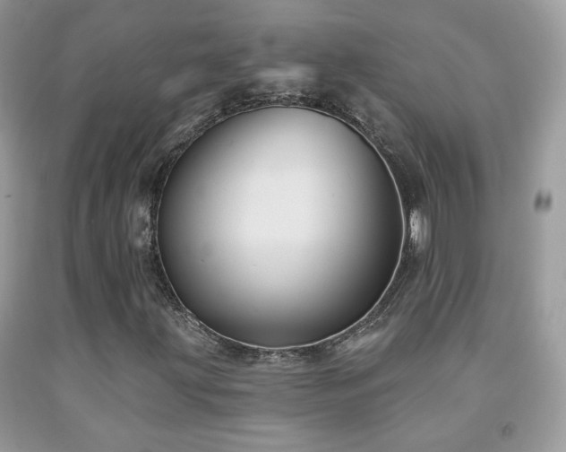 X0000092011203200709061525