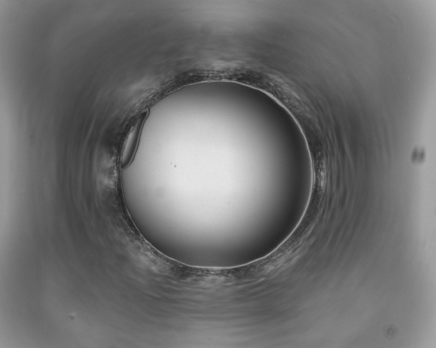 X0000092011204200709061525