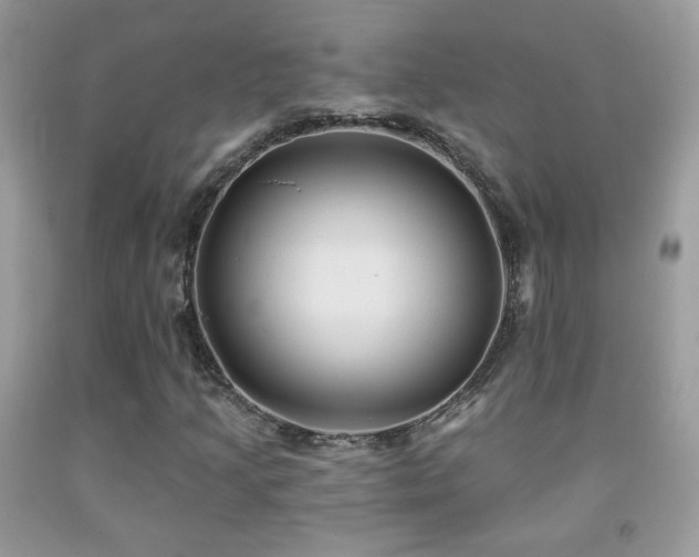 X0000092011205200709061525